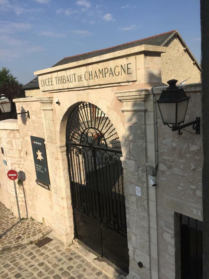 Appartement Au Coeur De La Cite Medievale 普罗万 外观 照片